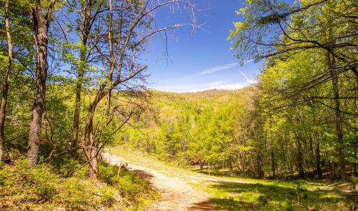 Photo #32 of Coffeytown Rd., Vesuvius, VA 27.0 acres