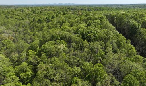 Photo #3 of Ruth Drive, Madison Heights, VA 10.6 acres
