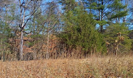 Photo #11 of Wilderness Creek Rd, Monroe, VA 55.0 acres