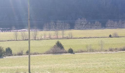 Photo #7 of Wilderness Creek Rd, Monroe, VA 55.0 acres