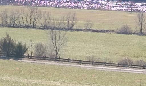 Photo #3 of Wilderness Creek Rd, Monroe, VA 55.0 acres