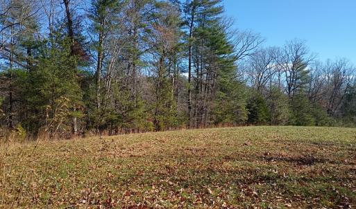 Photo #12 of Wilderness Creek Rd, Monroe, VA 55.0 acres