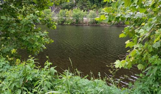 Photo #19 of Wilderness Creek Rd, Monroe, VA 55.0 acres