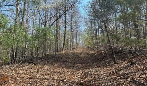 Photo #20 of Wagon Trail Rd, Monroe, VA 9.2 acres