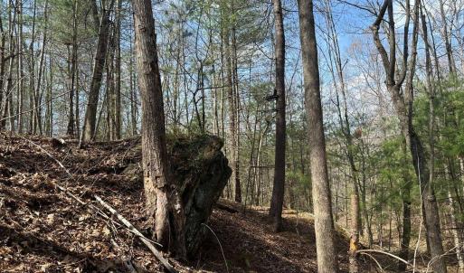 Photo #22 of Wagon Trail Rd, Monroe, VA 9.2 acres
