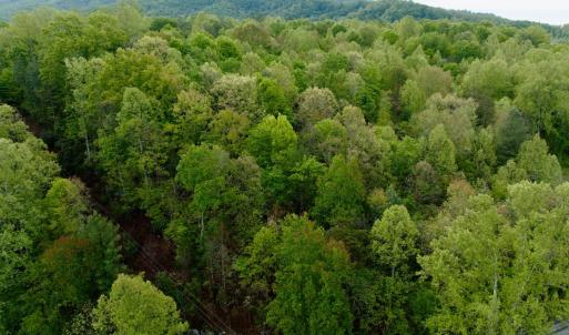 Photo #11 of Wagon Trail Rd, Monroe, VA 9.2 acres