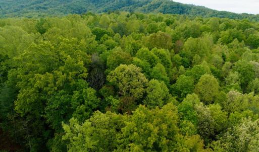 Photo #12 of Wagon Trail Rd, Monroe, VA 9.2 acres