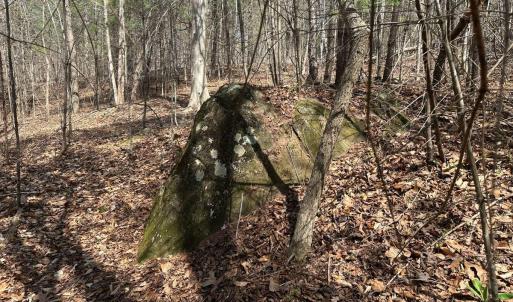Photo #21 of Wagon Trail Rd, Monroe, VA 9.2 acres