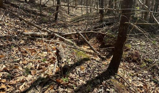 Photo #23 of Wagon Trail Rd, Monroe, VA 9.2 acres