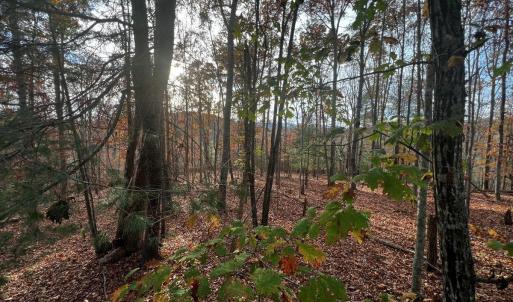 Photo #17 of Wagon Trail Rd, Monroe, VA 9.2 acres