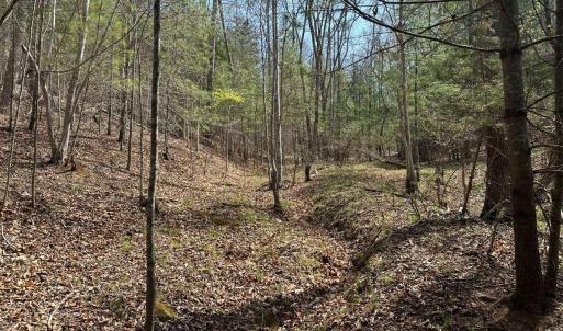 Photo #18 of Wagon Trail Rd, Monroe, VA 9.2 acres
