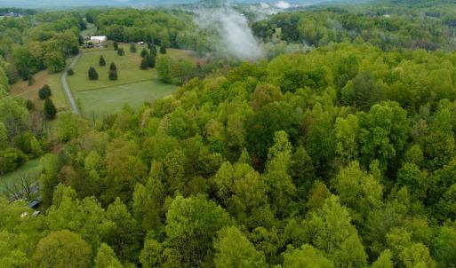 Photo #10 of Wagon Trail Rd, Monroe, VA 9.2 acres