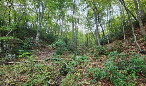 Photo #7 of River Bottom Lane, Concord, VA 97.3 acres