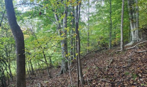 Photo #9 of River Bottom Lane, Concord, VA 97.3 acres