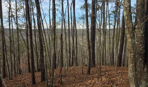 Photo #29 of River Bottom Lane, Concord, VA 97.3 acres