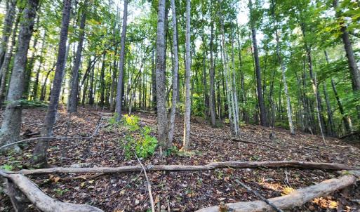 Photo #23 of River Bottom Lane, Concord, VA 97.3 acres