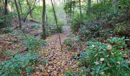 Photo #22 of River Bottom Lane, Concord, VA 97.3 acres