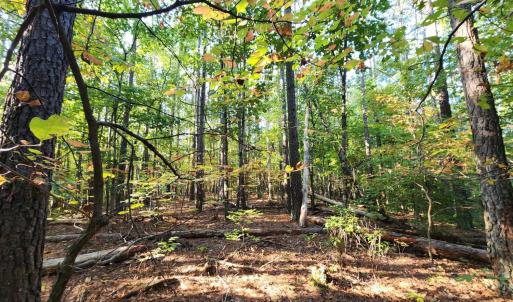 Photo #24 of River Bottom Lane, Concord, VA 97.3 acres