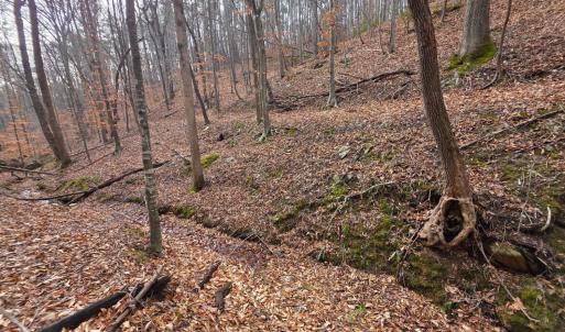 Photo #28 of River Bottom Lane, Concord, VA 97.3 acres
