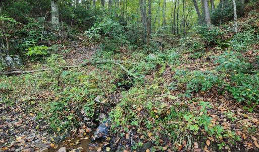 Photo #6 of River Bottom Lane, Concord, VA 97.3 acres