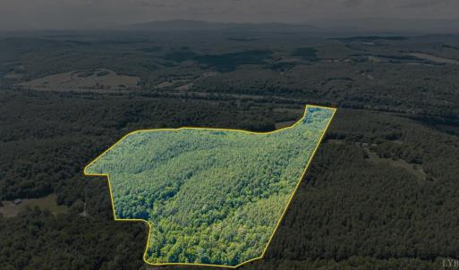 Photo #25 of River Bottom Lane, Concord, VA 97.3 acres