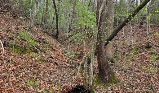 Photo #26 of River Bottom Lane, Concord, VA 97.3 acres