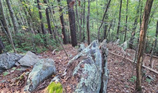 Photo #19 of River Bottom Lane, Concord, VA 97.3 acres