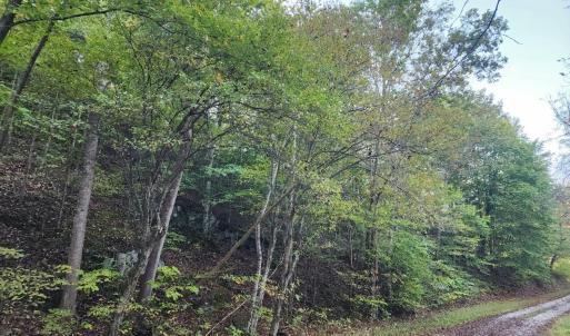 Photo #13 of River Bottom Lane, Concord, VA 97.3 acres