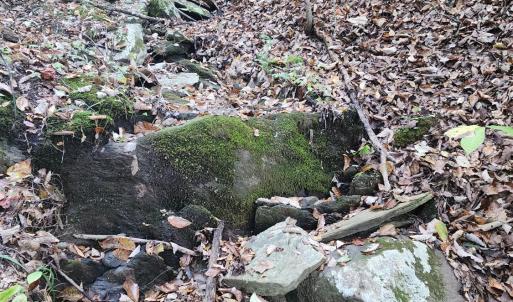 Photo #20 of River Bottom Lane, Concord, VA 97.3 acres