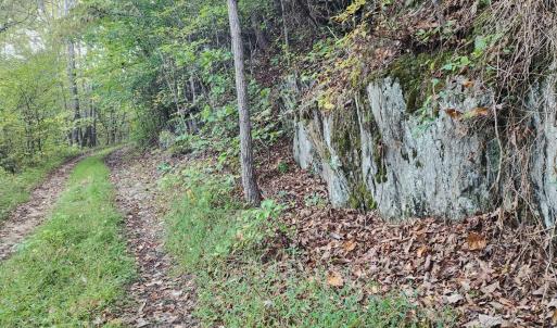 Photo #14 of River Bottom Lane, Concord, VA 97.3 acres