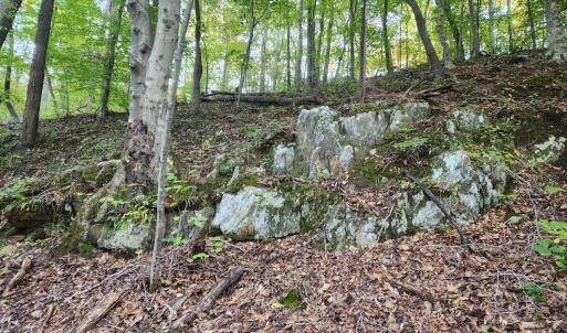 Photo #21 of River Bottom Lane, Concord, VA 97.3 acres