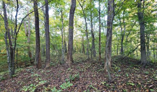 Photo #12 of River Bottom Lane, Concord, VA 97.3 acres