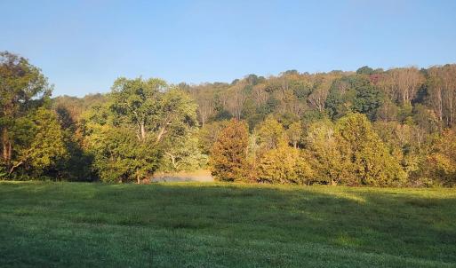 Photo #15 of River Bottom Lane, Concord, VA 97.3 acres