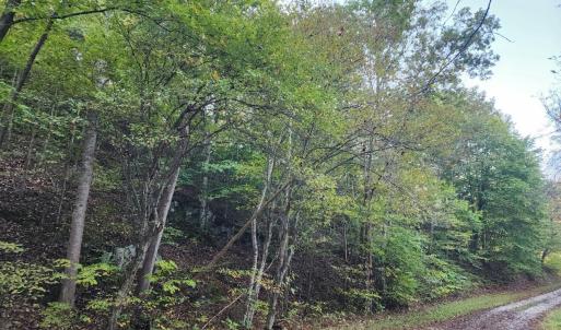 Photo #13 of River Bottom Lane, Concord, VA 97.3 acres