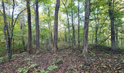Photo #12 of River Bottom Lane, Concord, VA 97.3 acres