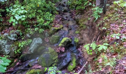 Photo #15 of TBD Audrey Lane, Montvale, VA 170.0 acres