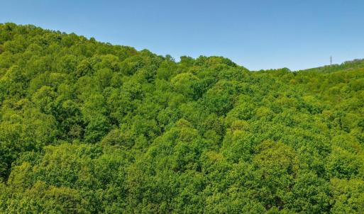 Photo #12 of TBD Audrey Lane, Montvale, VA 170.0 acres