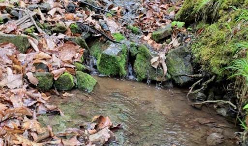 Photo #48 of TBD Audrey Lane, Montvale, VA 170.0 acres