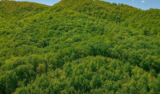 Photo #8 of TBD Audrey Lane, Montvale, VA 170.0 acres