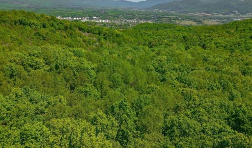 Photo #18 of TBD Audrey Lane, Montvale, VA 170.0 acres