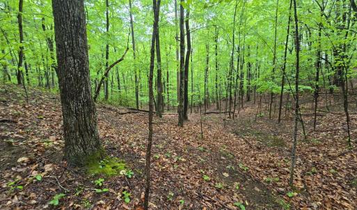 Photo #40 of TBD Audrey Lane, Montvale, VA 170.0 acres