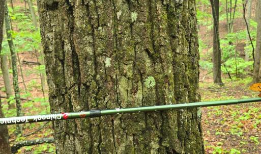 Photo #31 of TBD Audrey Lane, Montvale, VA 170.0 acres