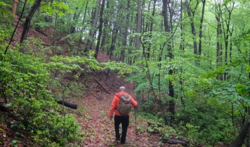 Photo #13 of TBD Audrey Lane, Montvale, VA 170.0 acres