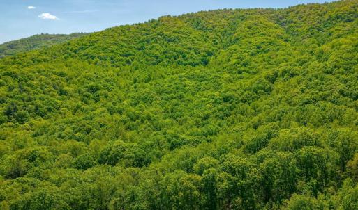 Photo #6 of TBD Audrey Lane, Montvale, VA 170.0 acres
