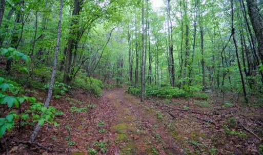 Photo #5 of TBD Audrey Lane, Montvale, VA 170.0 acres