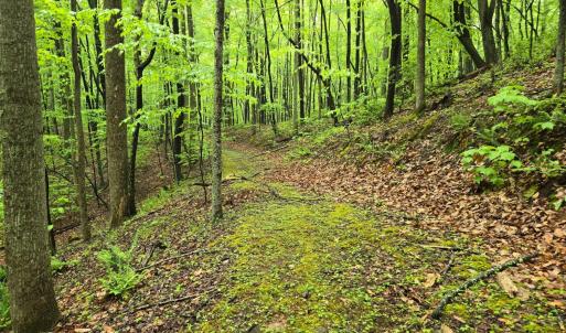 Photo #24 of TBD Audrey Lane, Montvale, VA 170.0 acres
