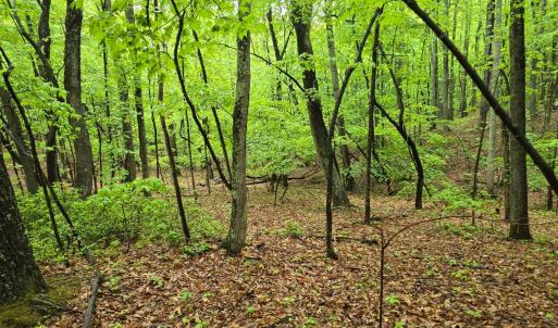 Photo #32 of TBD Audrey Lane, Montvale, VA 170.0 acres