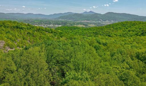 Photo #14 of TBD Audrey Lane, Montvale, VA 170.0 acres