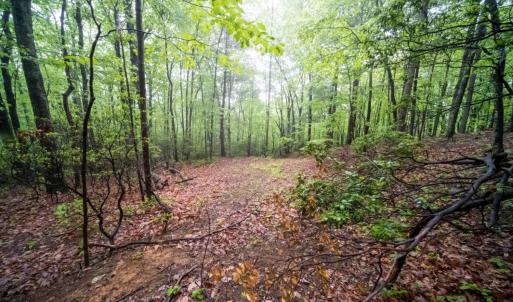 Photo #17 of TBD Audrey Lane, Montvale, VA 170.0 acres