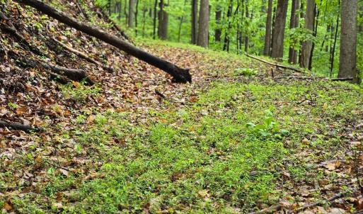 Photo #27 of TBD Audrey Lane, Montvale, VA 170.0 acres